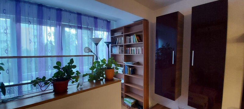 Drumul Taberei, zona Favorit